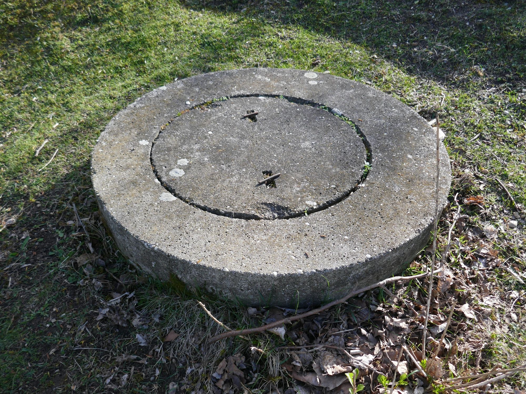 Concrete septic access lid outdoors in grass
