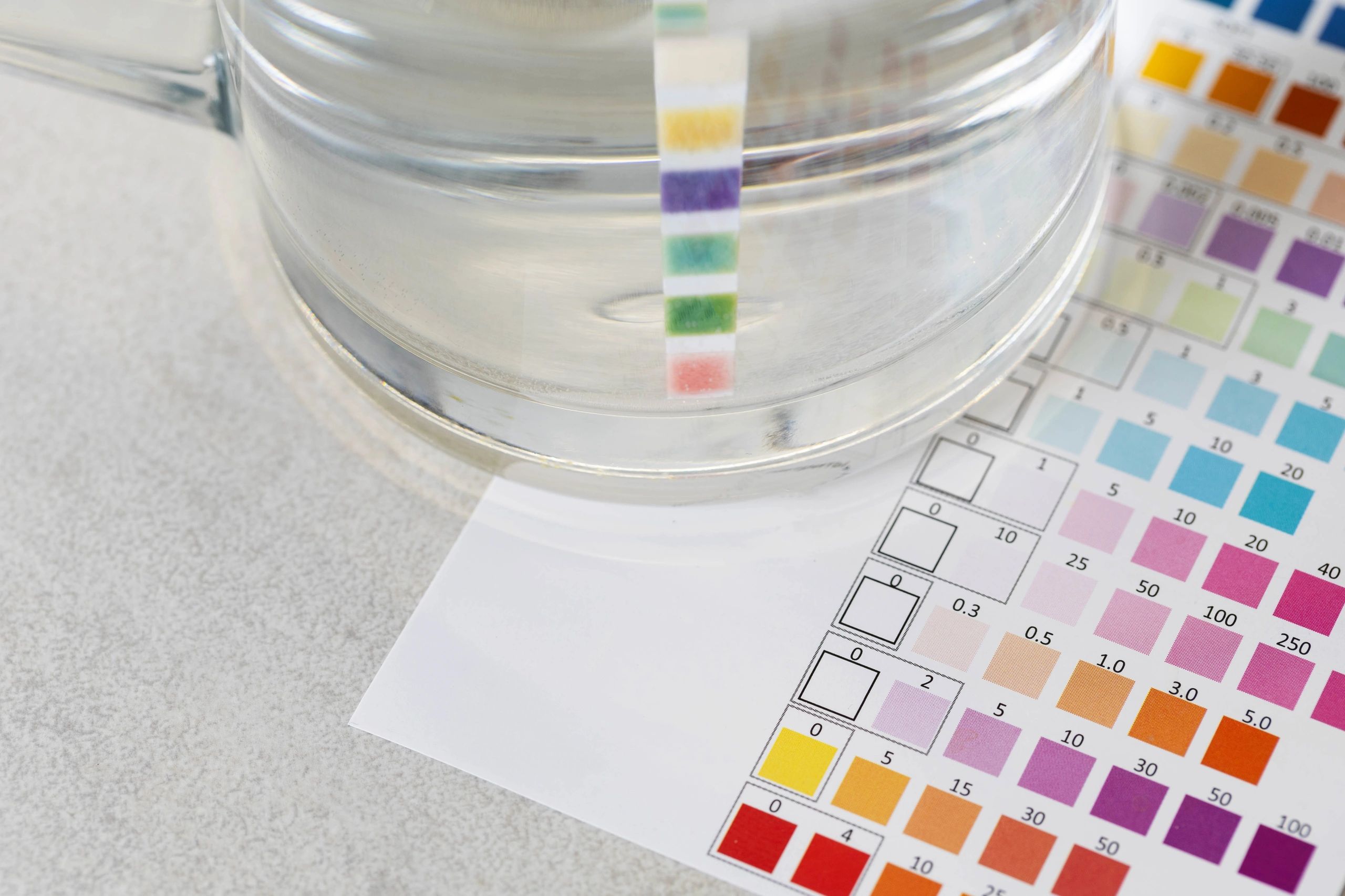 Water quality test strip and color chart